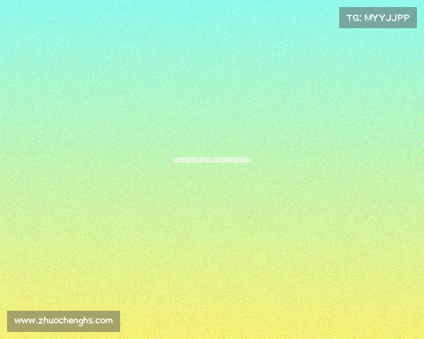 沈丹莹三年跃升基金经理 以独到眼光把握市场脉动 沈丹莹三年跃升基金经理 以独到眼光把握市场脉动